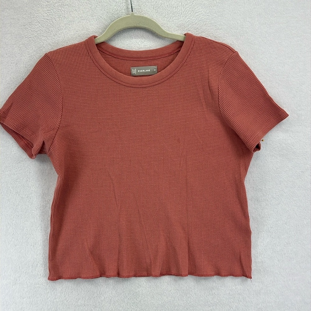 Everlane Rust/salmon Crop Top